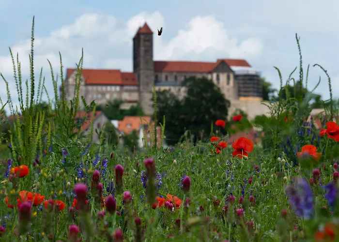 Western Schlossmuehle 4* קדלינבורג